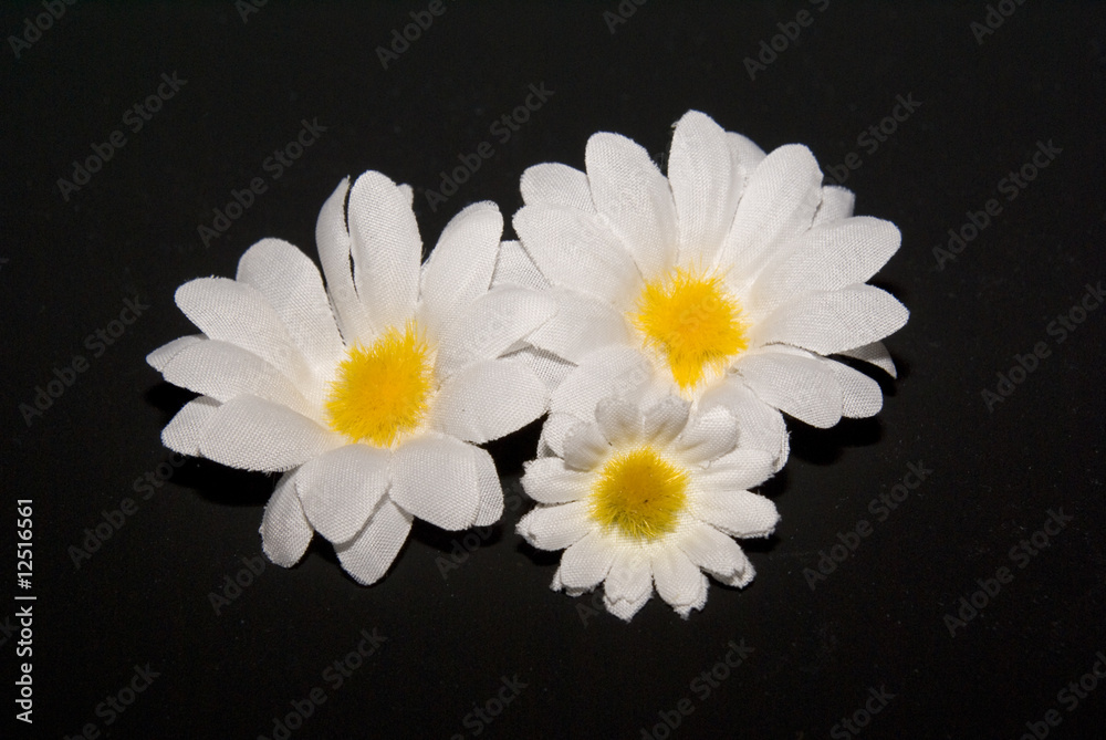 Obraz premium Blumen