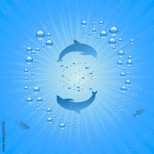 dolphin silhouette