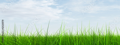 green grass over a blue sky with white clouds as background © high_resolution