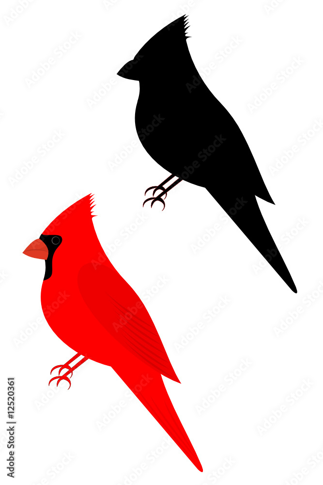 Set of two cardinal birds Stock Vector | Adobe Stock