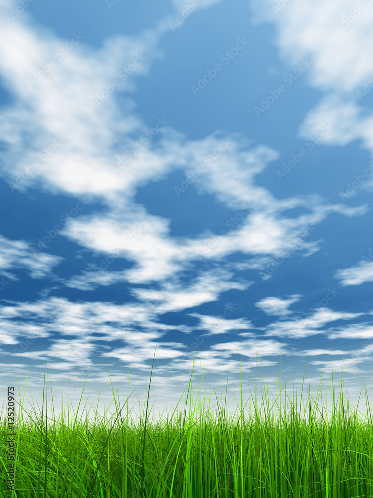 green grass over a blue sky with white clouds as background green grass over a blue sky with white clouds as background