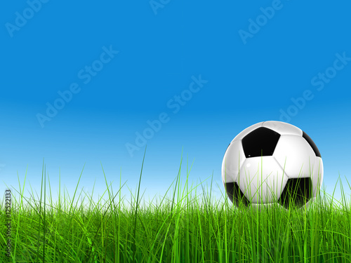 3D black soccer ball green grass  clear blue sky for sports