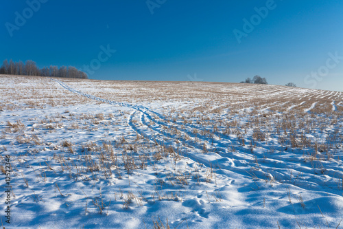 Winter Field Road