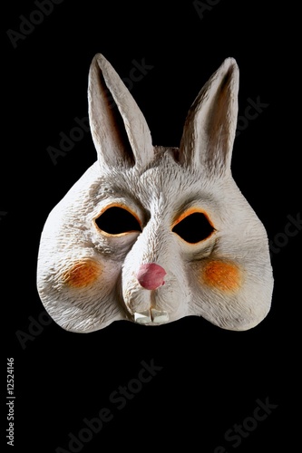 bunny rabbit funny mask