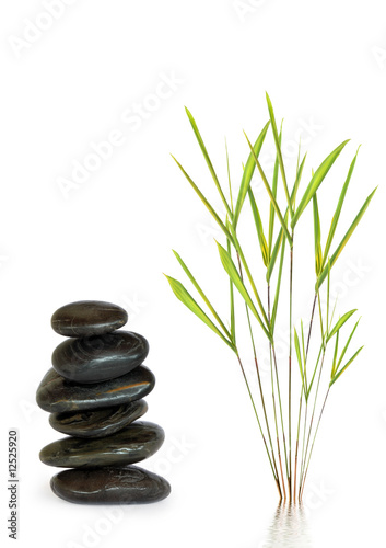 Spa Stones and Bamboo Leaf Grass
