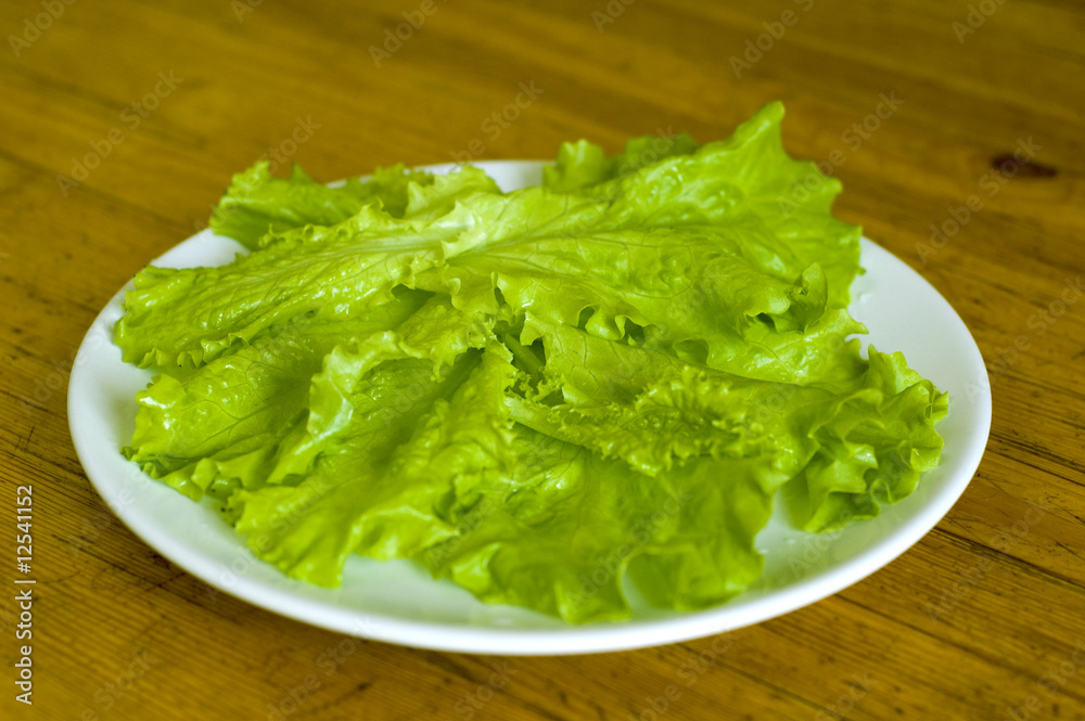 fresh lettuce fresh lettuce