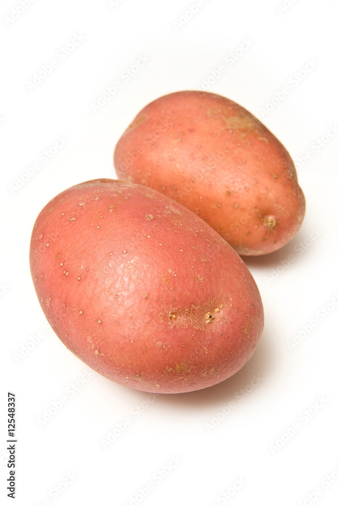 Red rooster potatoes isolated on a white studio background.