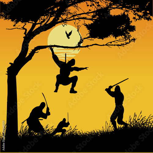 ninja silhouettes