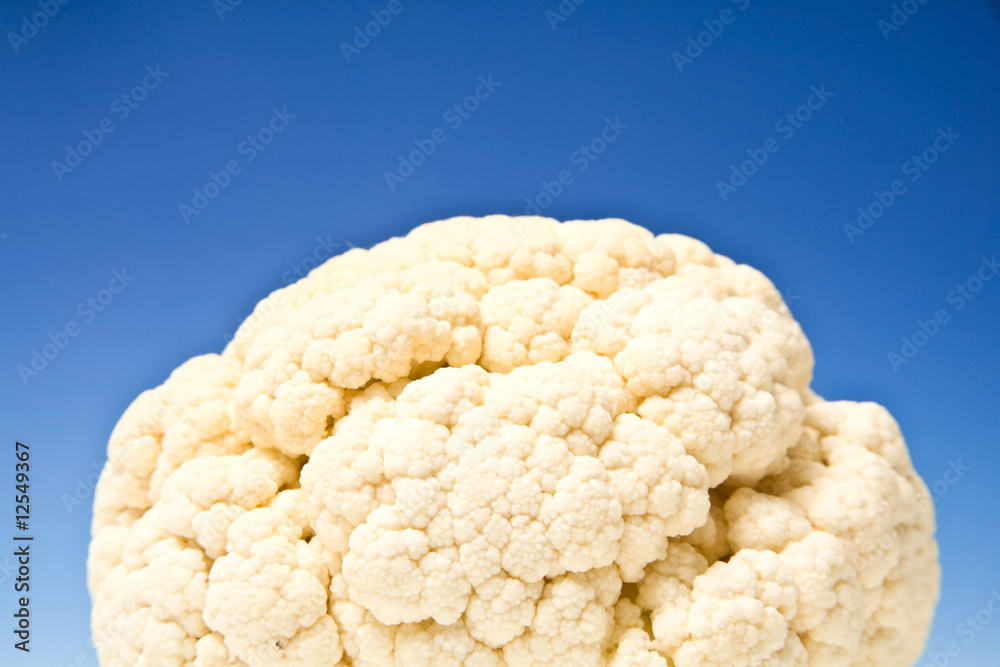 caulliflower on a graduated blue studio background. caulliflower on a graduated blue studio background.