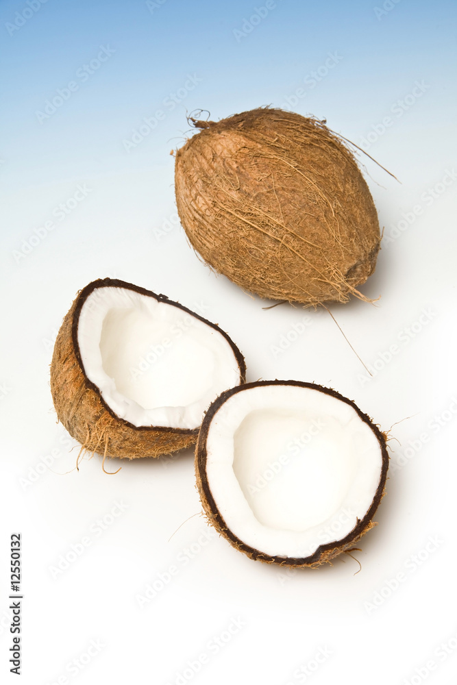 Coconuts on a graduated blue studio background. Coconuts on a graduated blue studio background.