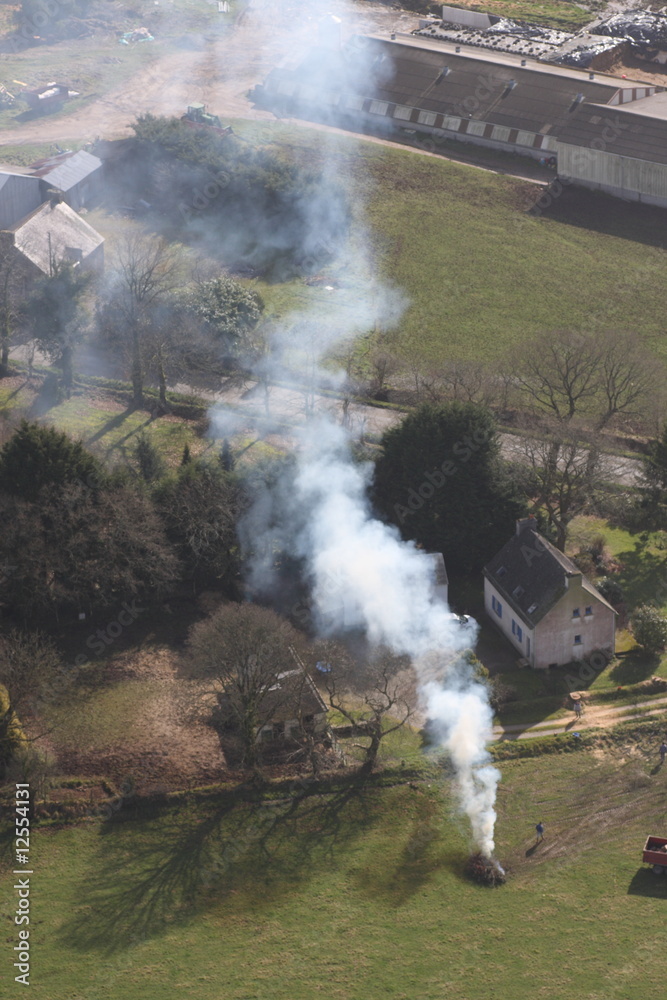 Fototapeta premium feu de végétaux