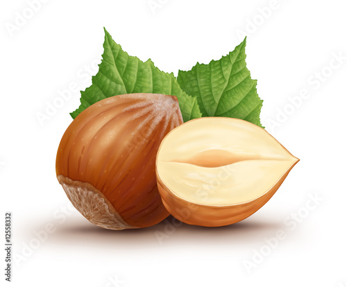 Hazelnuts 2