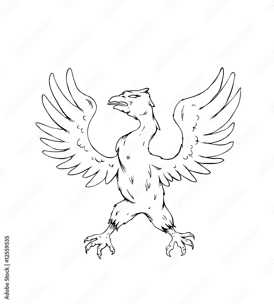 Obraz premium vector griffin
