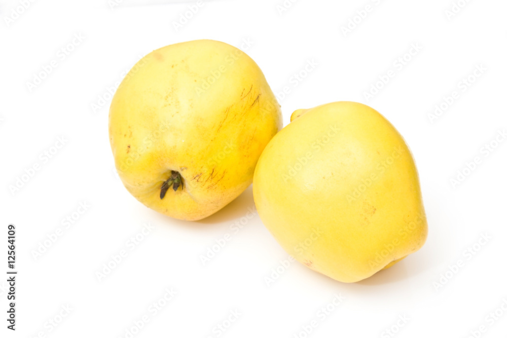 Quince isolated on a white studio background. Quince isolated on a white studio background.