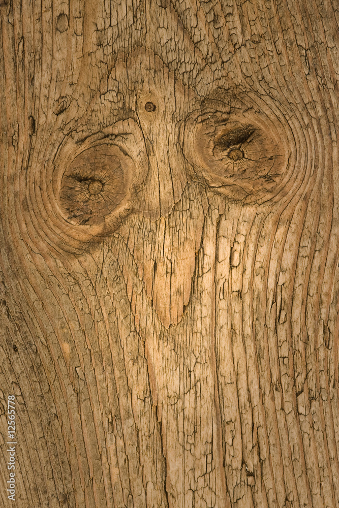Fototapeta premium Old textured wood boards