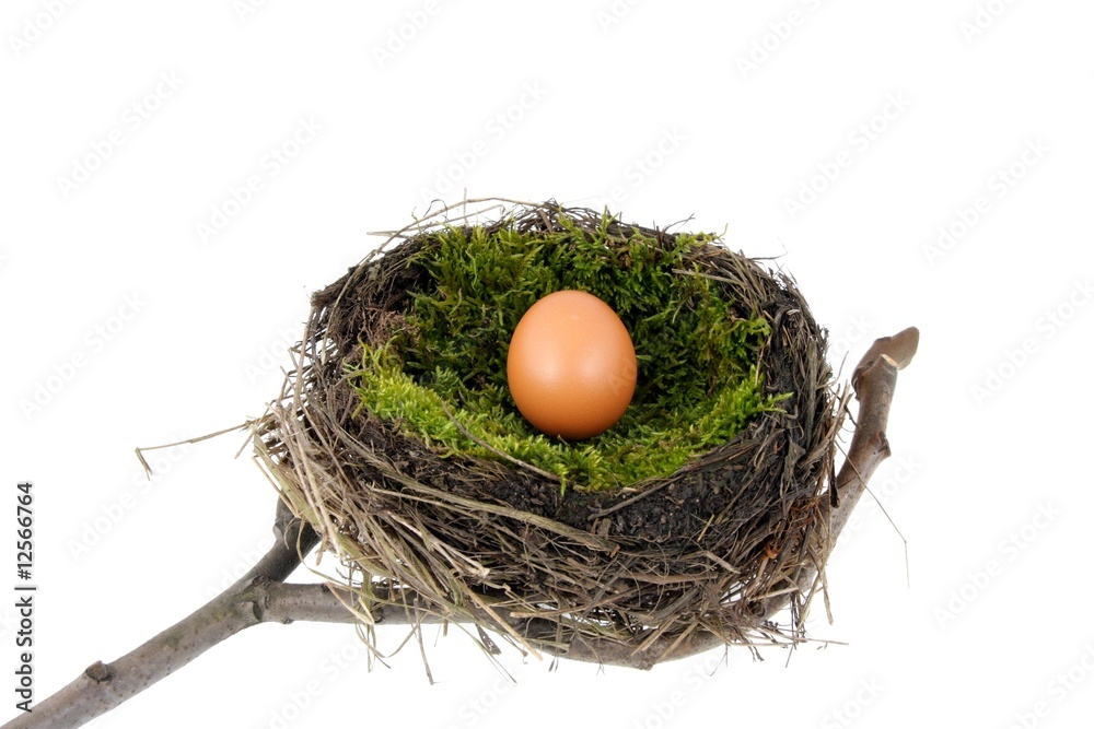 Easter nest Easter nest