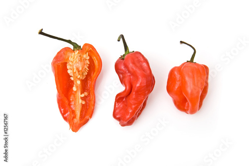 West indian Scotch bonnet chili peppers photo