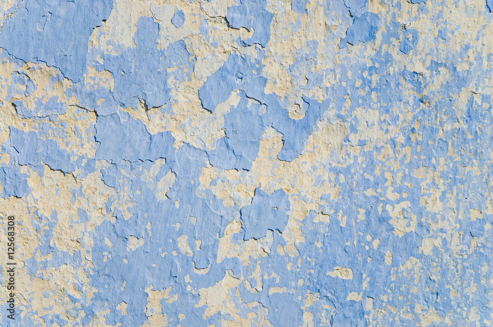 Fototapeta premium wall