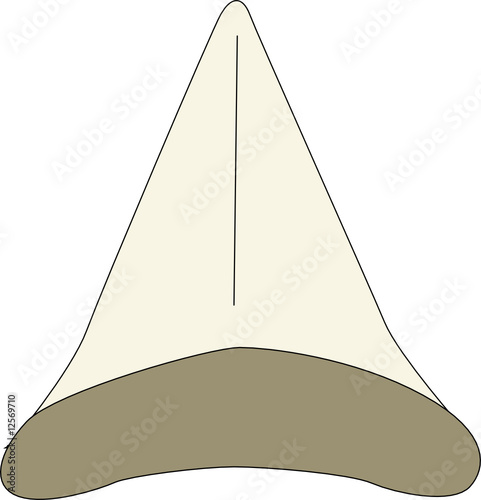Shark Tooth
