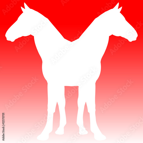 horse twins illustration