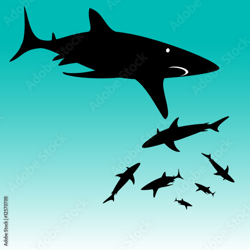 shark vector silhouettes