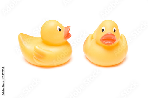 Rubber Ducks isolated on a white studio background. photo