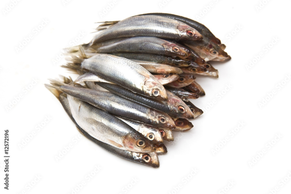 Sprats isolated on a white studio background. Sprats isolated on a white studio background.