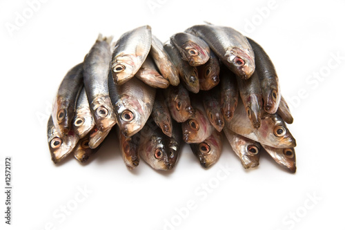 Canvas-taulu Sprats isolated on a white studio background.