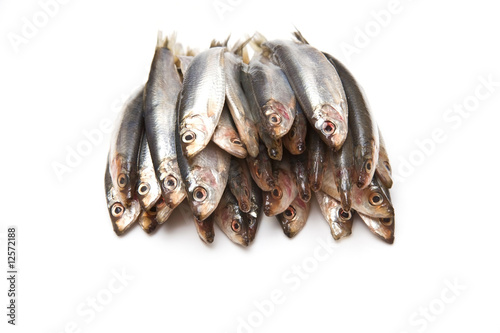 Canvas-taulu Sprats isolated on a white studio background.