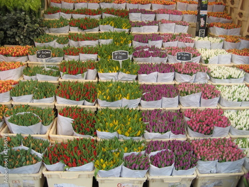 Blumenmarkt A'dam