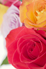 Fototapete Macro Romantische Rosen in voller Blüte  © Mariusz Blach
