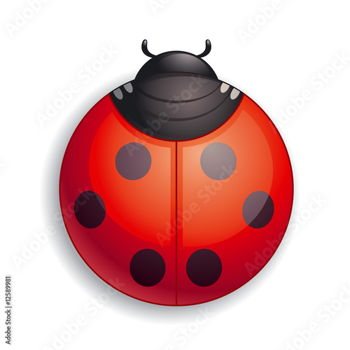 Round ladybug icon