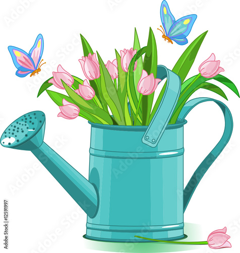 Watering can