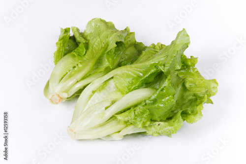 green vegetables on a white background