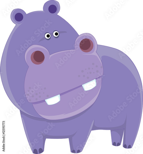 Hippo