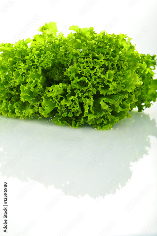 Fototapeta premium Salad