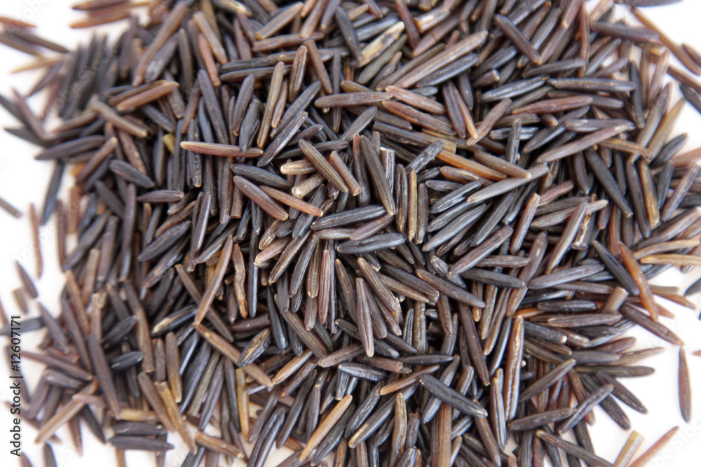 Wild rice zizania