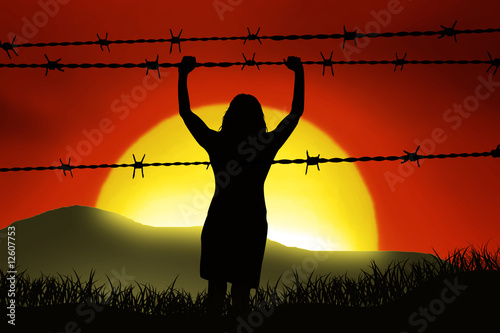 Barbed wire