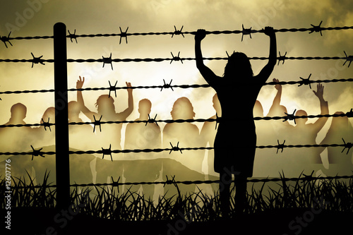 Barbed wire