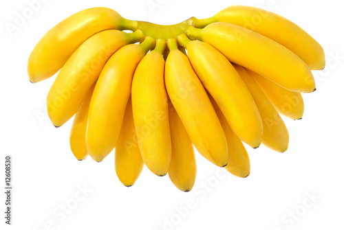 Banana bunch 2 © 7yonov