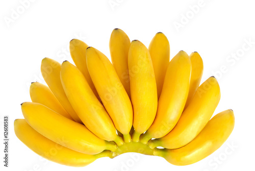 Banana bunch 2
