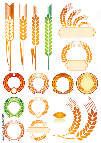 ears pattern