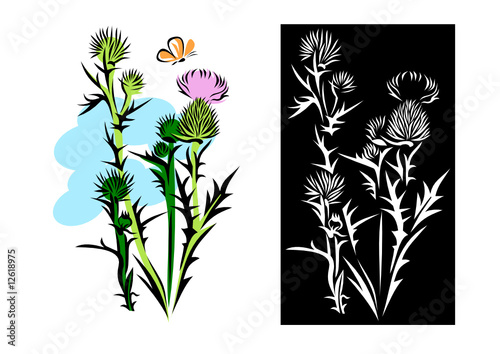 Thistle