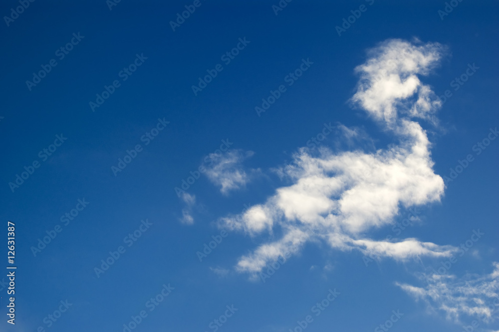 Fototapeta premium Cloud