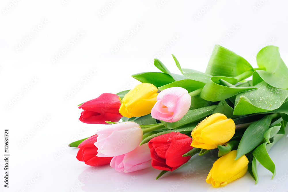 Fototapeta premium Bunch of tulips