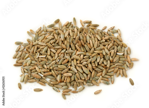 Rye grains isolated on white background photo