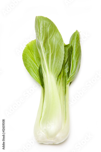 Bok Choi isolated on a white studio background.