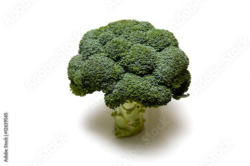 Broccoli on a white stduio background.