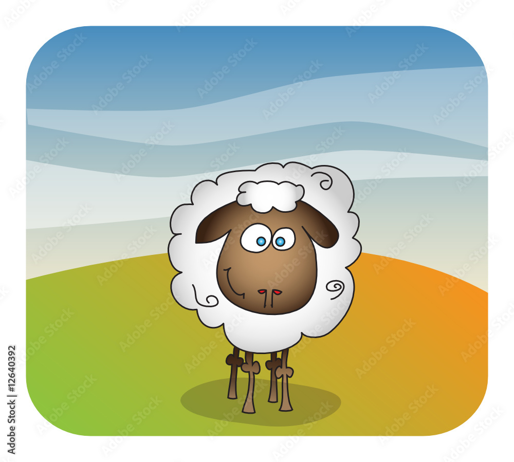 sheep