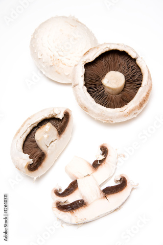 Mushroom isolated on a white studio background